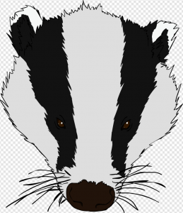 Badger PNG Transparent Images Download