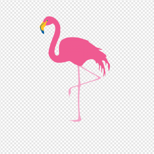 Flamingo PNG Transparent Images Download