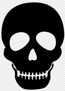 Skull PNG Transparent Images Download