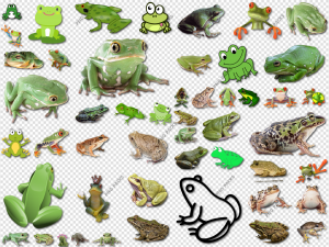 Frog PNG Transparent Images Download