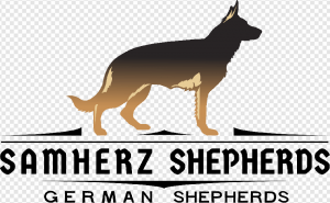 German Shepherd PNG Transparent Images Download