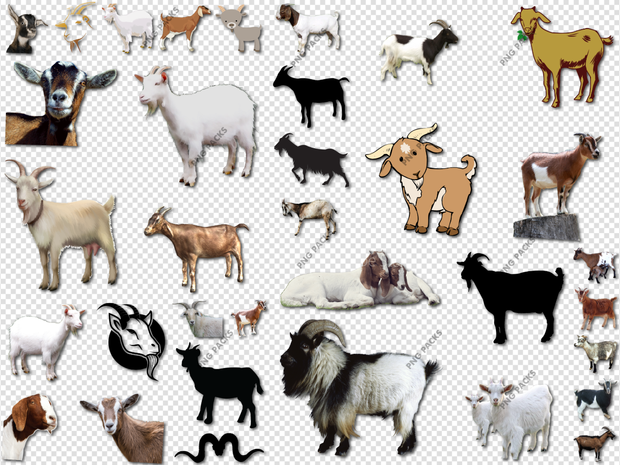 Goat PNG Images (Transparent HD Photo Clipart)