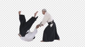 Aikido PNG Transparent Images Download