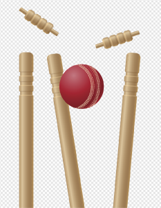 Cricket PNG Transparent Images Download