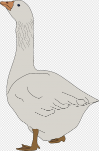 Goose PNG Transparent Images Download