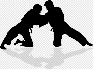 Kickboxing PNG Transparent Images Download
