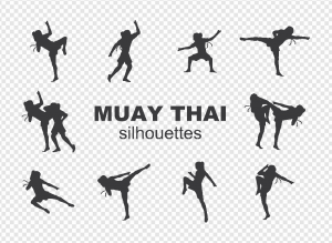 Mixed Martial Arts PNG Transparent Images Download