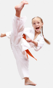 Taekwondo PNG Transparent Images Download
