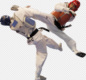 Taekwondo PNG Transparent Images Download