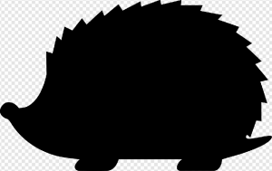 Hedgehog PNG Transparent Images Download