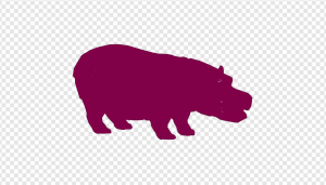 Hippo PNG Transparent Images Download