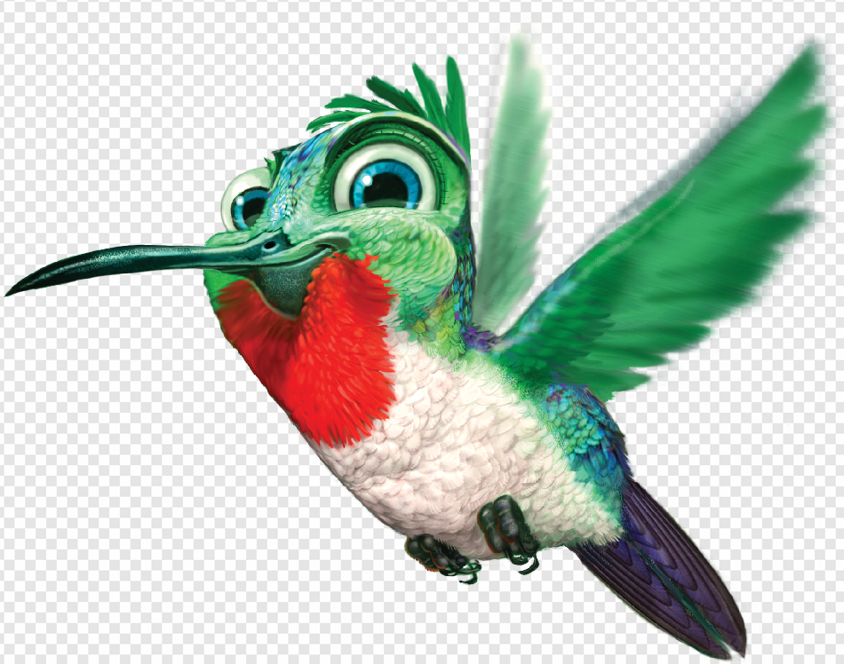 Hummingbird PNG Transparent Images Download - PNG Packs