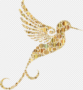 Hummingbird PNG Transparent Images Download