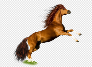 Horse PNG Transparent Images Download