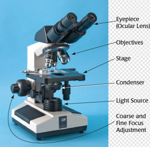 Microscope PNG Transparent Images Download