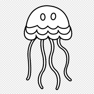 Jellyfish PNG Transparent Images Download