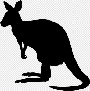 Kangaroo PNG Transparent Images Download