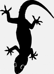 Lizard PNG Transparent Images Download