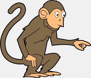 Monkey PNG Transparent Images Download