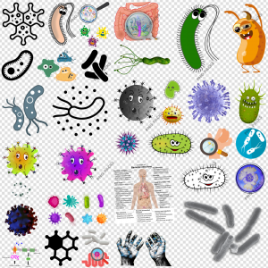 Bacteria PNG Transparent Images Download
