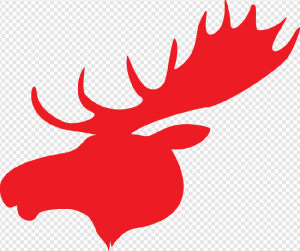 Moose PNG Transparent Images Download