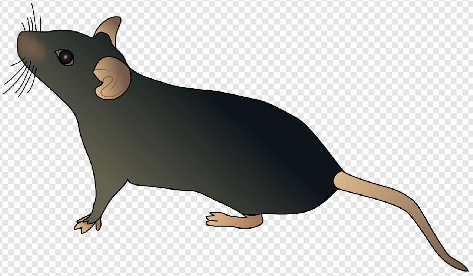 Mouse Animal PNG Transparent Images Download - PNG Packs