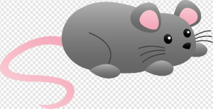 Mouse Animal PNG Transparent Images Download