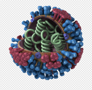 Virus PNG Transparent Images Download