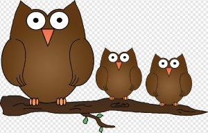 Owl PNG Transparent Images Download