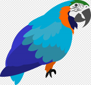 Parrot PNG Transparent Images Download