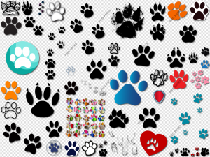 Paw PNG Transparent Images Download