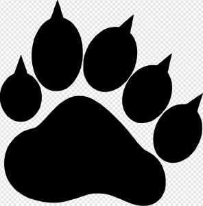 Paw PNG Transparent Images Download