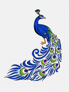 Peacock PNG Transparent Images Download