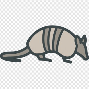 Armadillo PNG Transparent Images Download