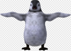 Penguin PNG Transparent Images Download
