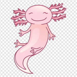 Axolotl PNG Transparent Images Download
