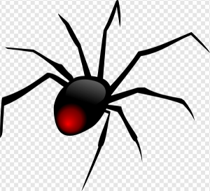 Black Widow Spider PNG Transparent Images Download