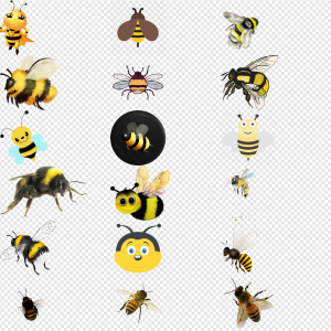 Bumblebee Insect PNG Transparent Images Download