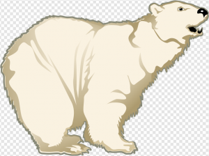 Polar Bear PNG Transparent Images Download
