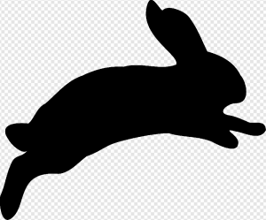 Rabbit PNG Transparent Images Download