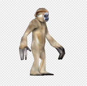 Gibbon PNG Transparent Images Download