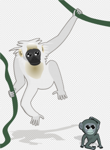 Gibbon PNG Transparent Images Download