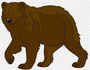 Grizzly Bear PNG Transparent Images Download