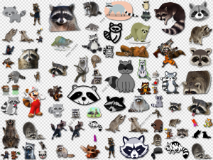 Raccoon PNG Transparent Images Download