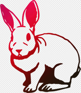 Hare PNG Transparent Images Download