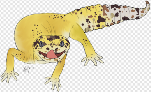 Leopard Lizard PNG Transparent Images Download