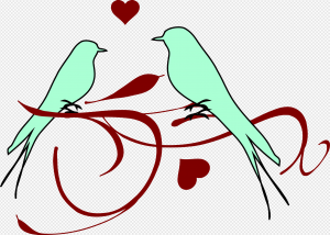 Lovebird PNG Transparent Images Download