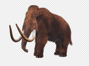Mammoth PNG Transparent Images Download