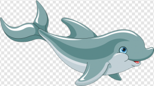Oceanic Dolphin PNG Transparent Images Download