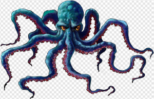 Octopuse PNG Transparent Images Download